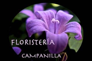 Campanilla