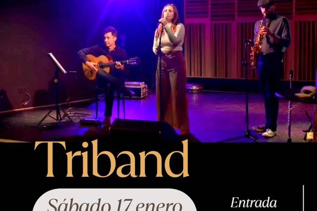 Voz, guitarra y flauta