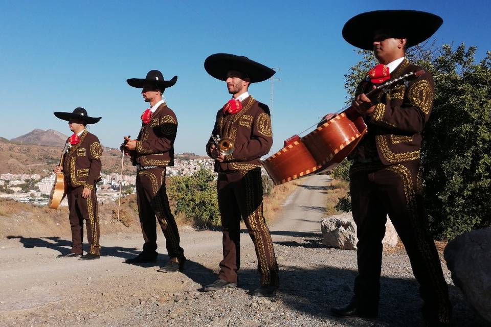 Mariachi Al son de México