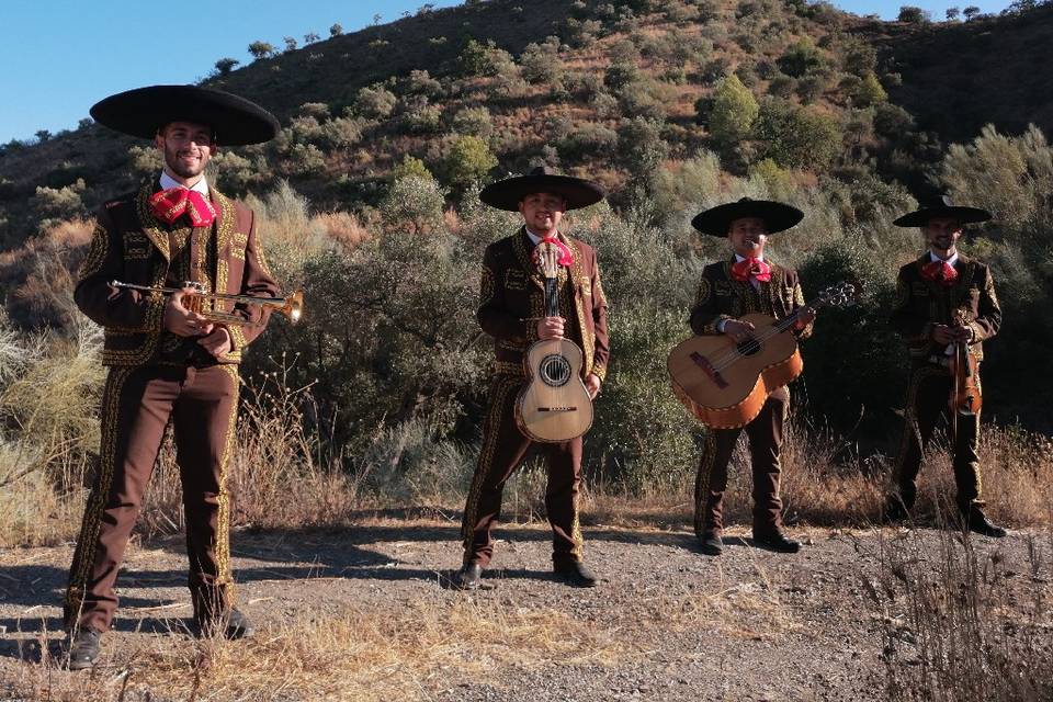 Mariachi Al son de México