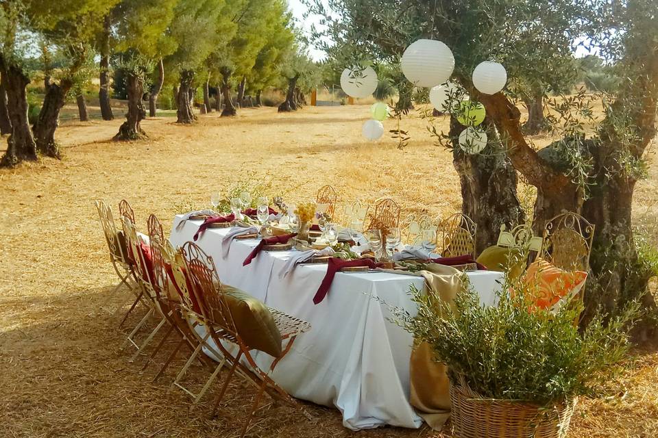 Bodas Íntimas de Campo