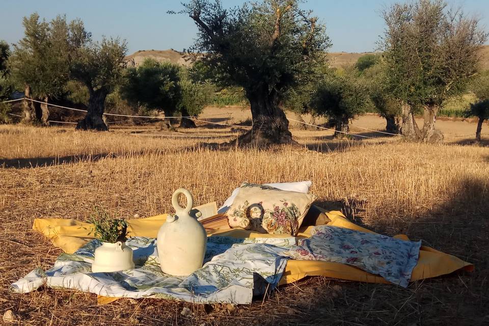 Bodas Íntimas de Campo