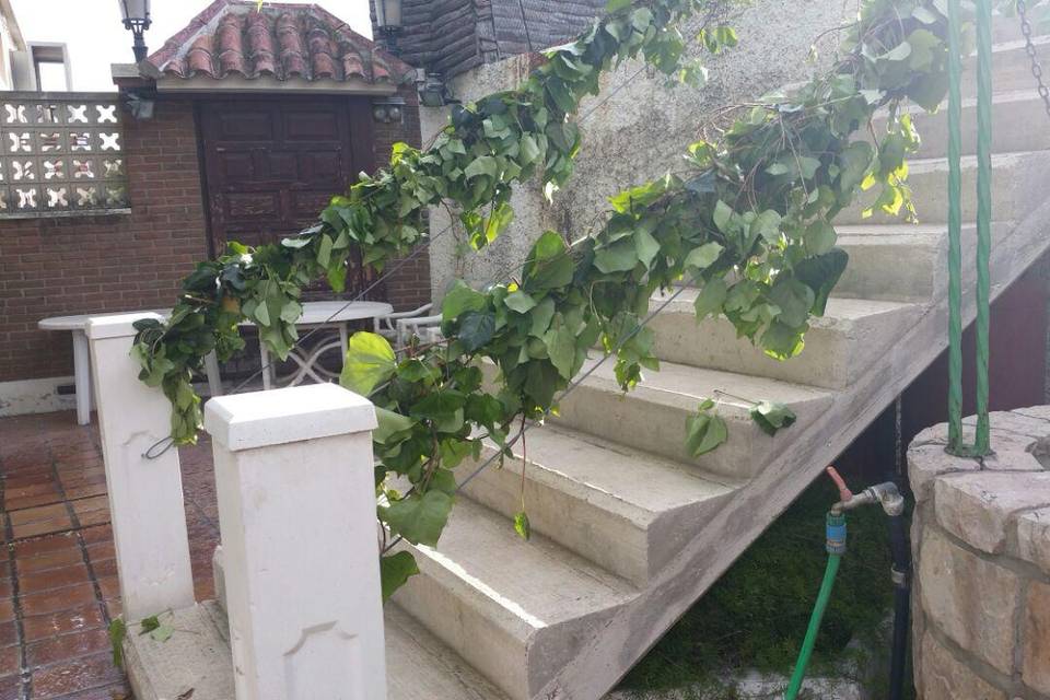 Escara acceso 2