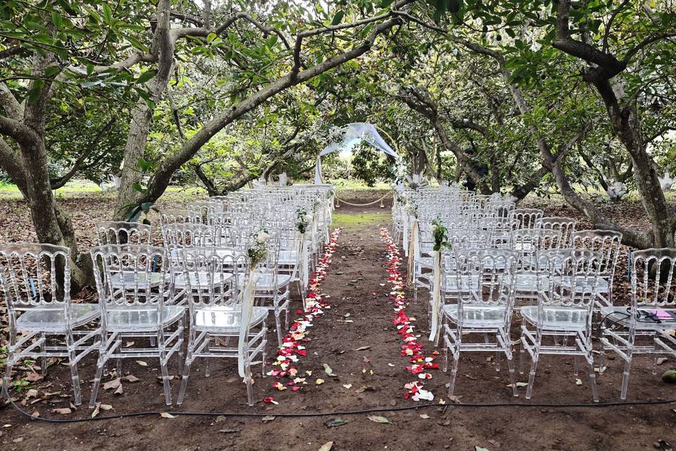 Ceremonia en medio de Aguacate