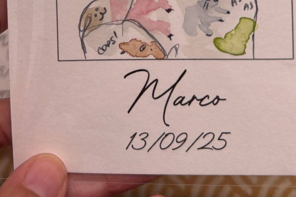 Marcasitios niño
