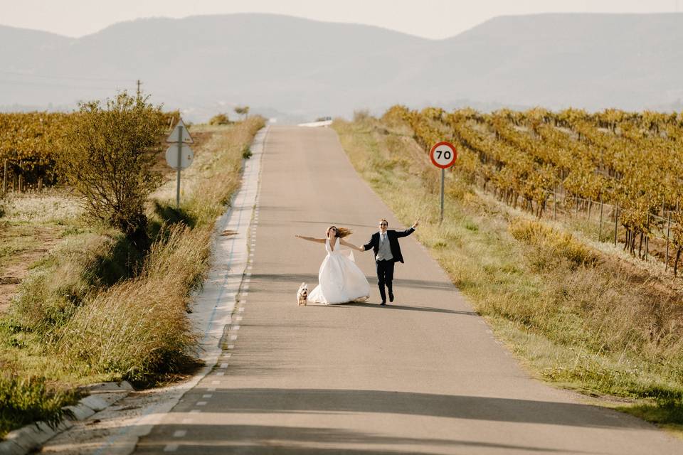 Postboda