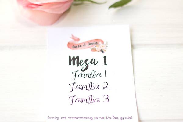 Seating plan tarjeta pink bow