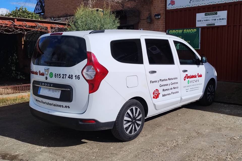 Servicio profesional