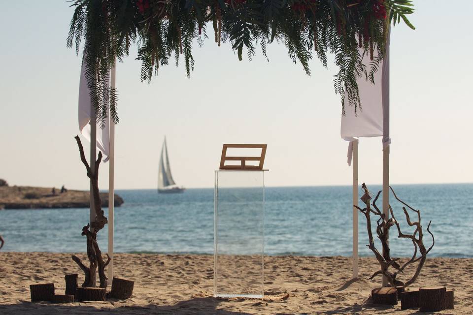 Blau Verd events