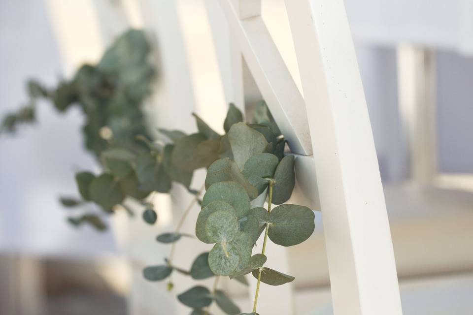 Blau Verd events
