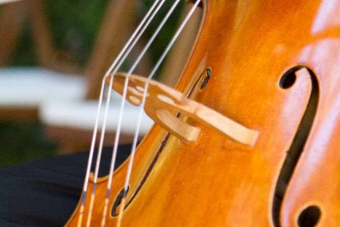 Blau Verd events