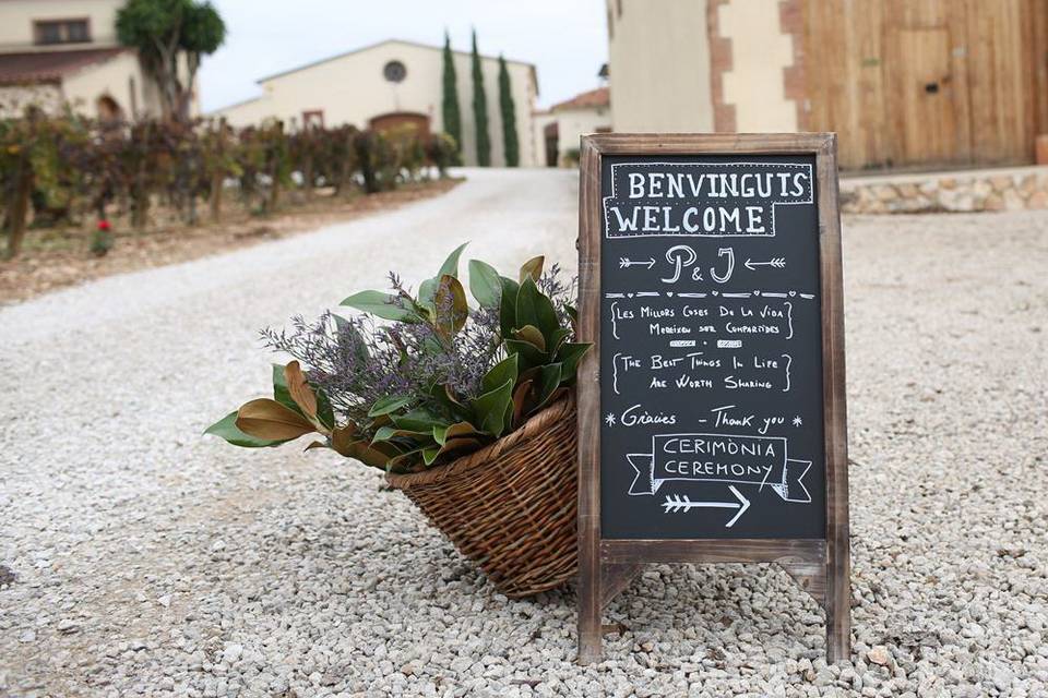 Blau Verd events