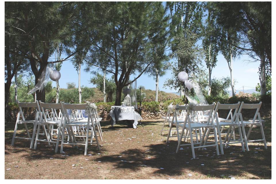 Blau Verd events