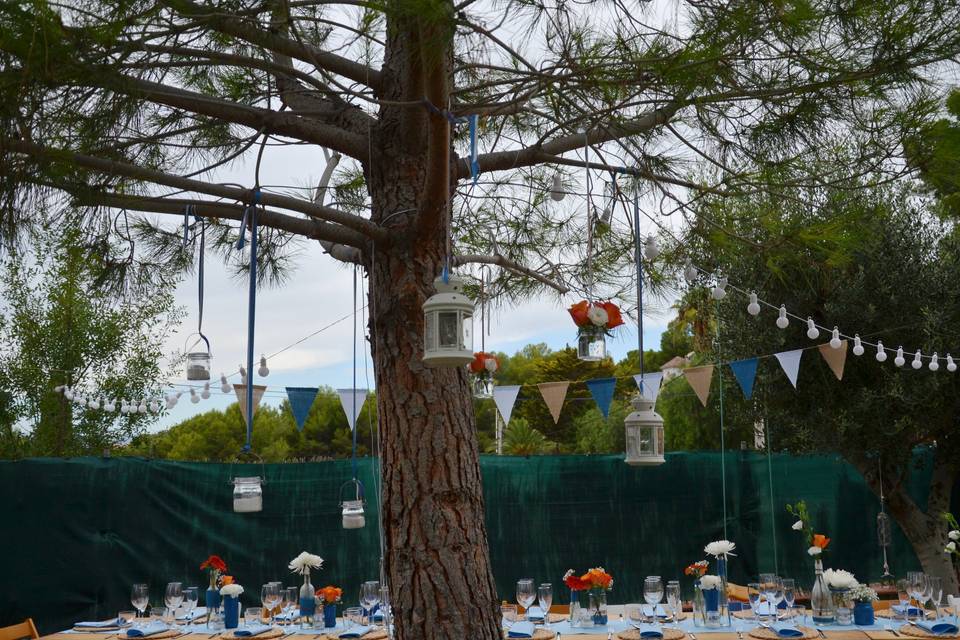 Blau Verd events