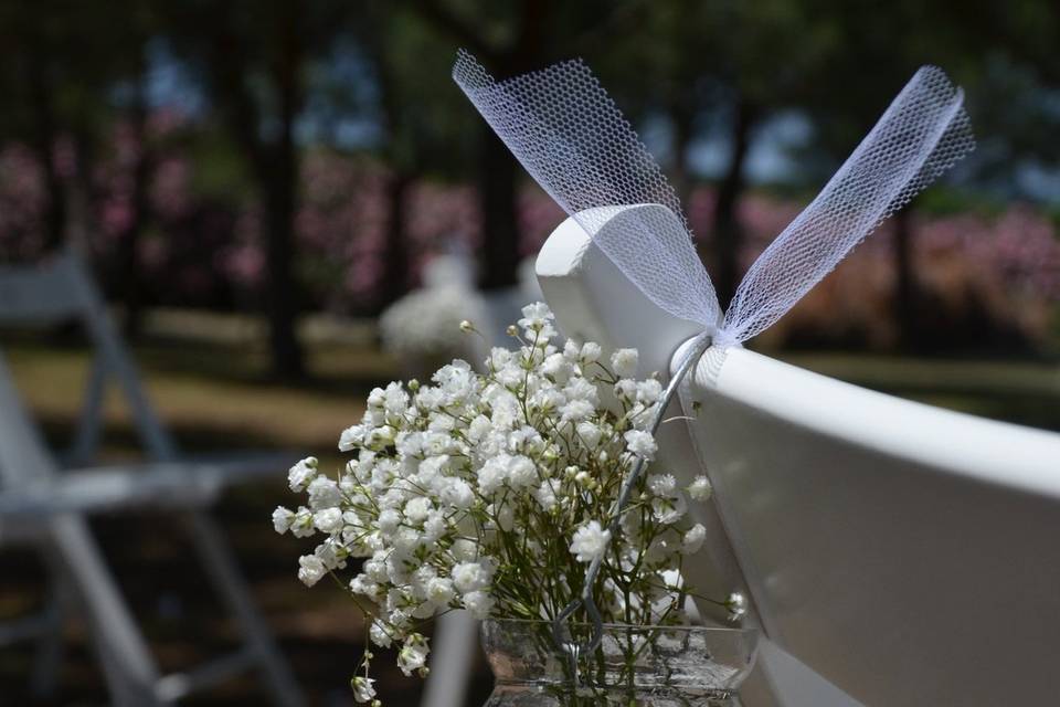 Blau Verd events