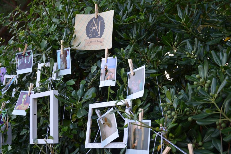 Blau Verd events