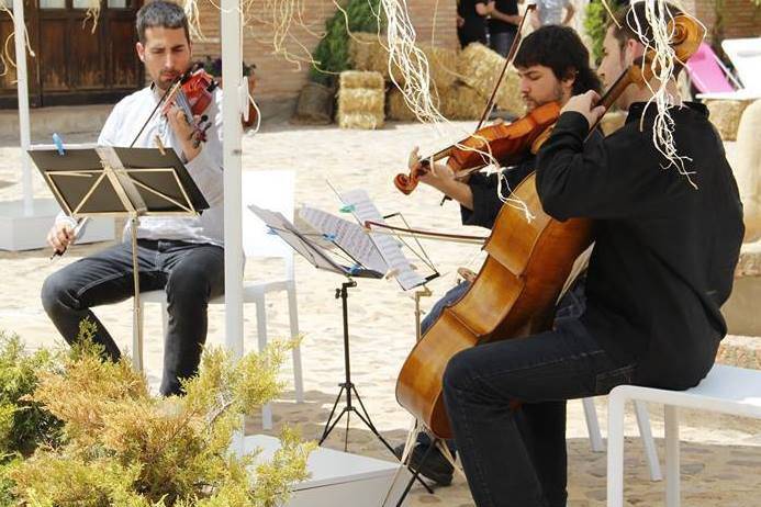 Cóctel al aire libre