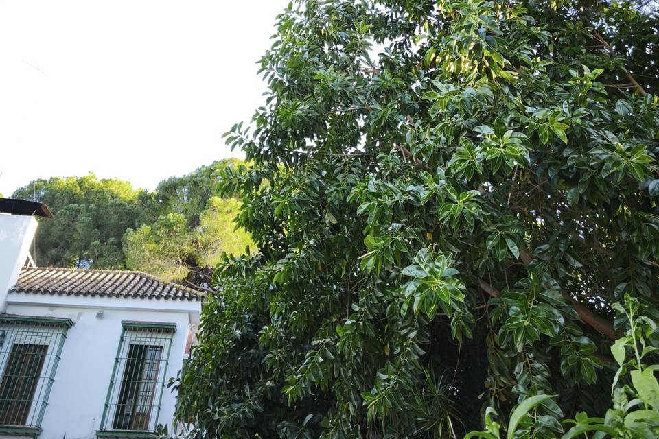 Naturaleza