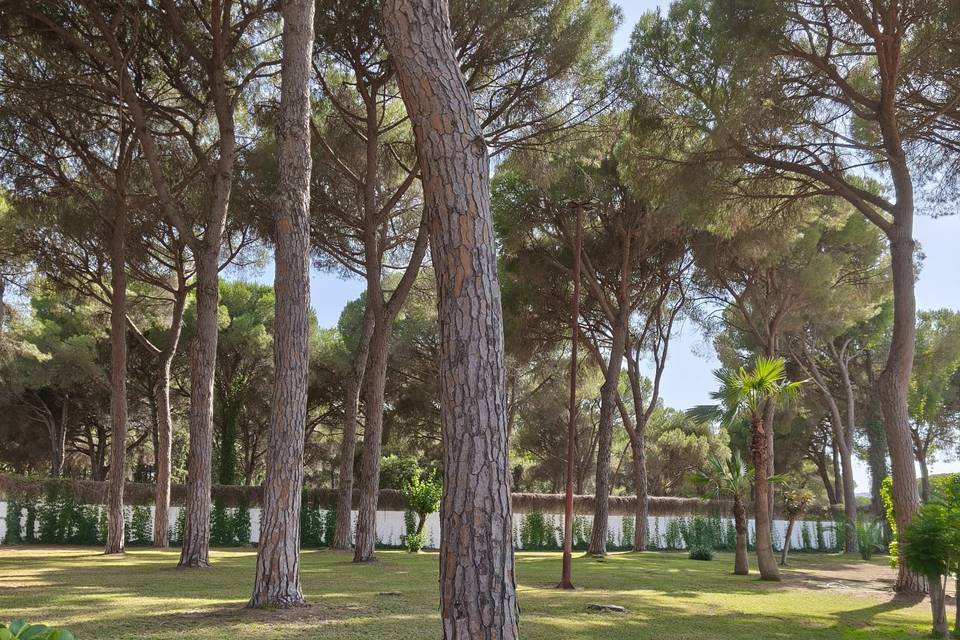 Jardines