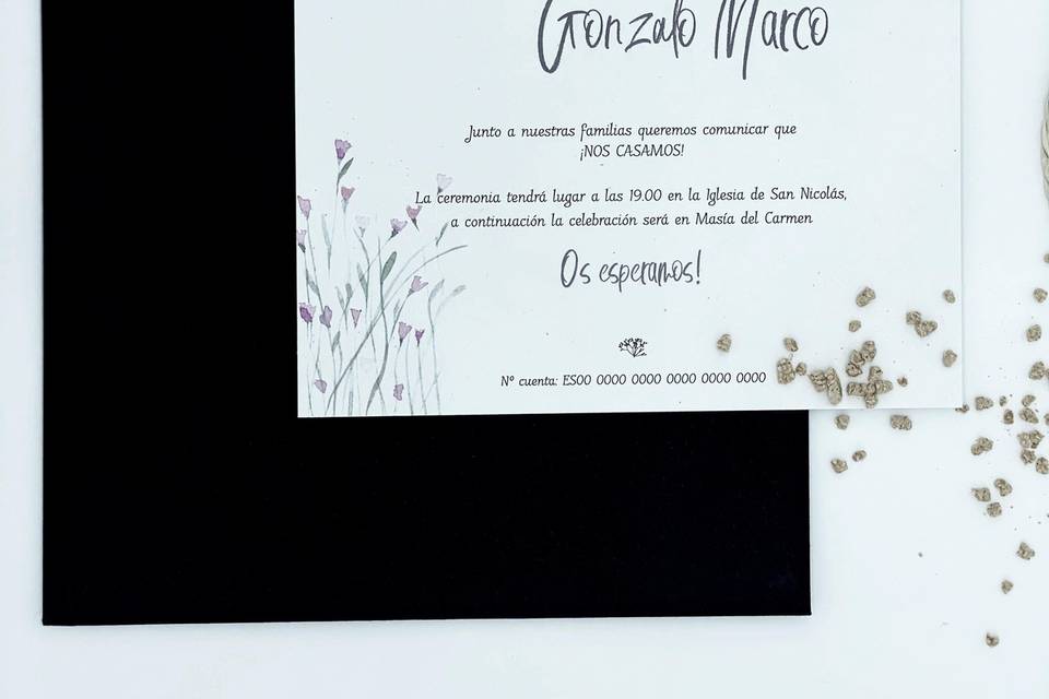 Invitación Tulipancitos