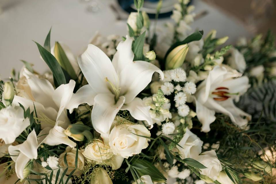 Magical Bodas