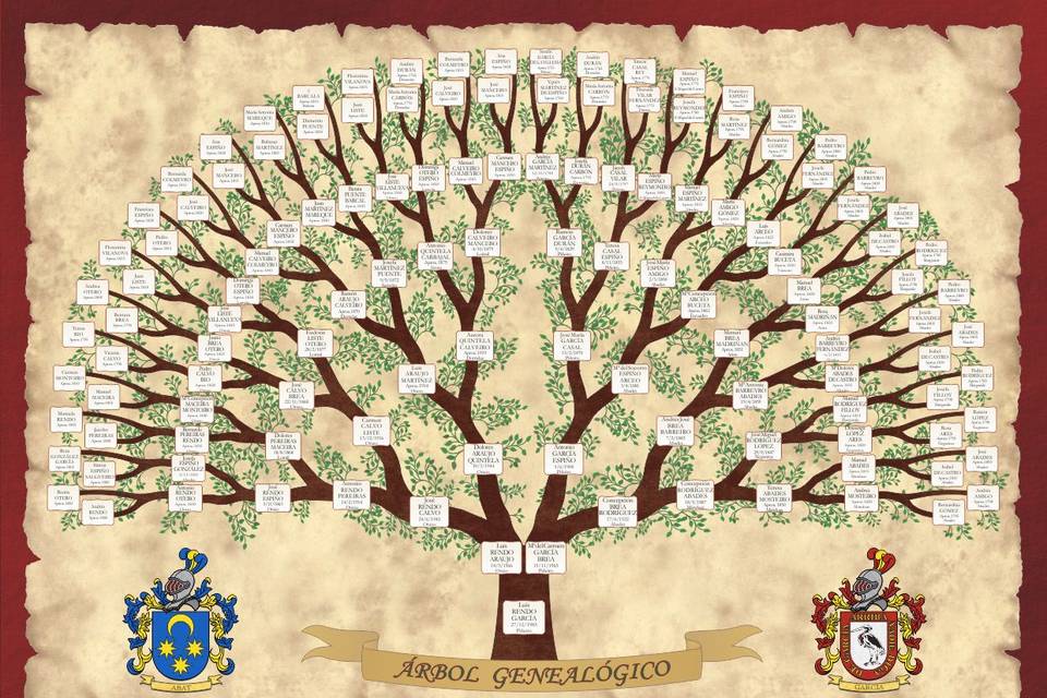 Árbol antepasados - escudos