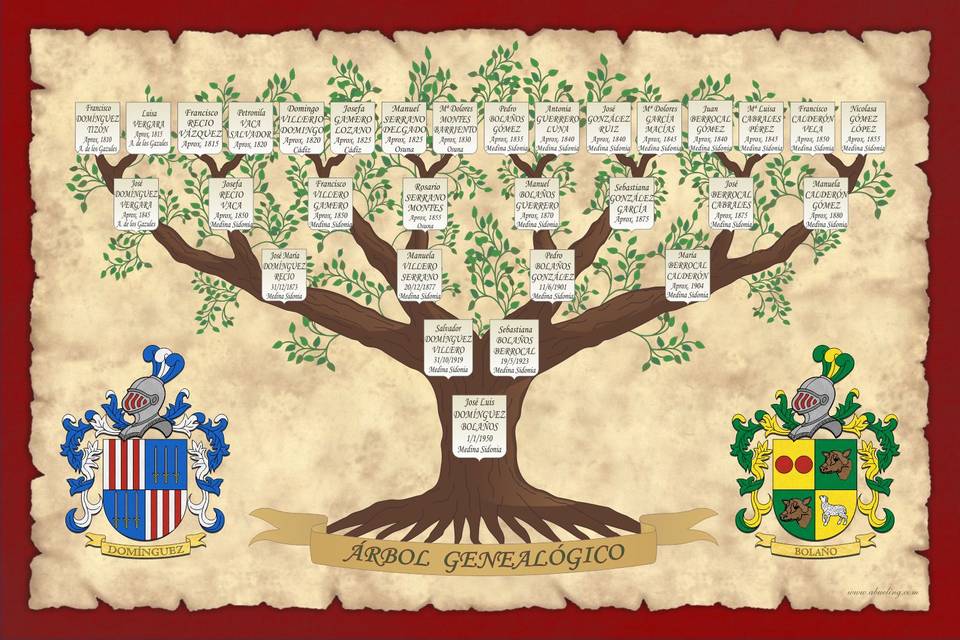 Árbol genealógico clásico