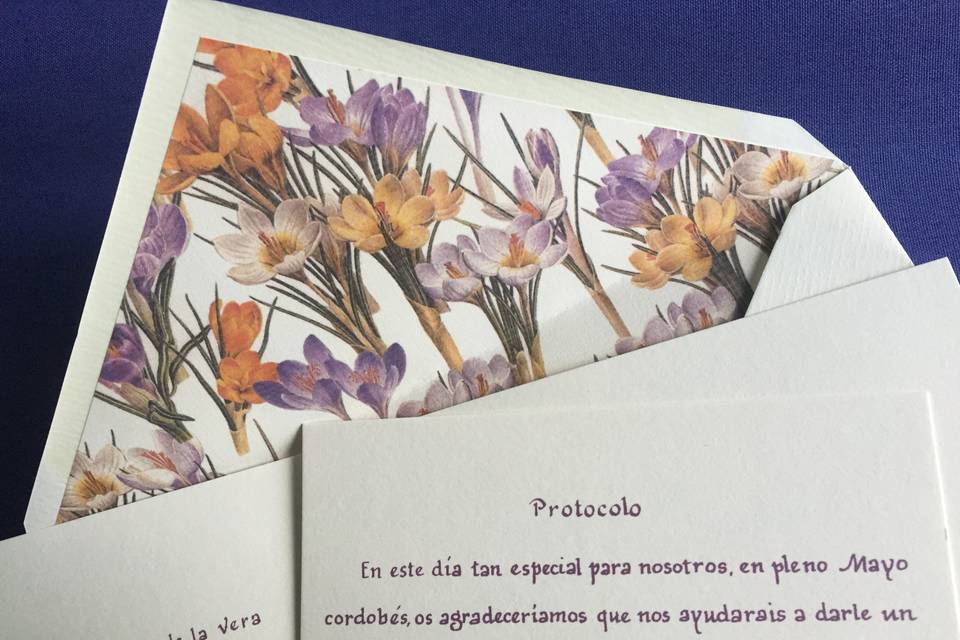 Invitación a caligrafía