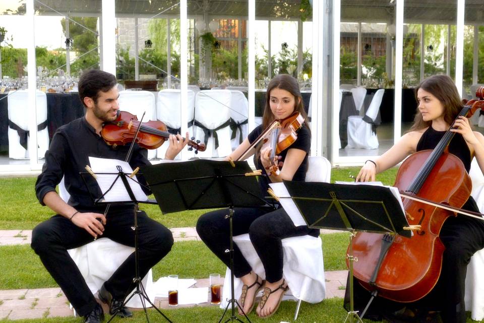 String Music Eventos