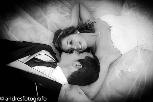 Novios