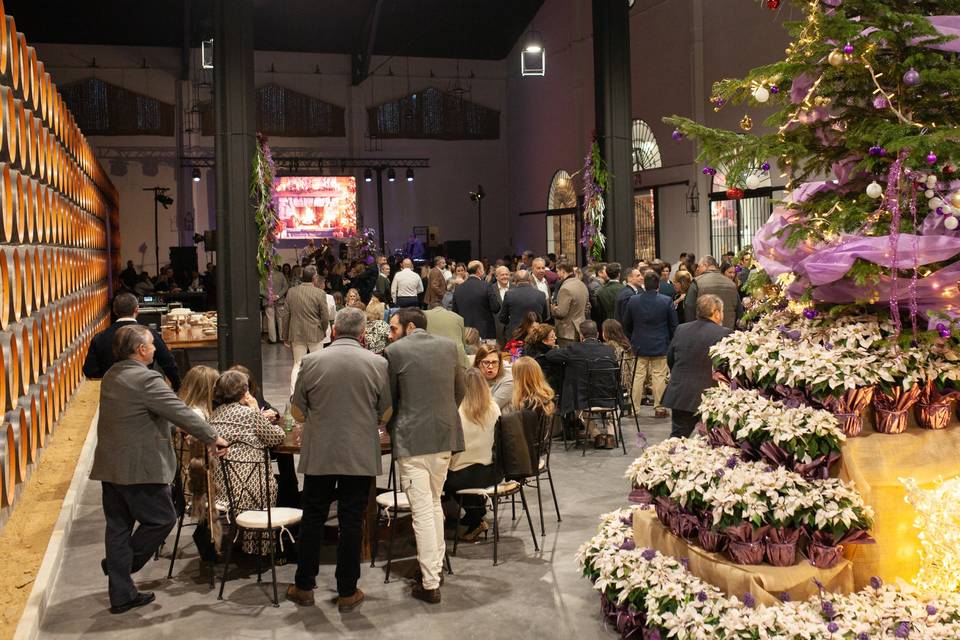 Bodegas Casknolia