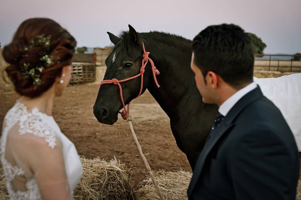 Wedding photo