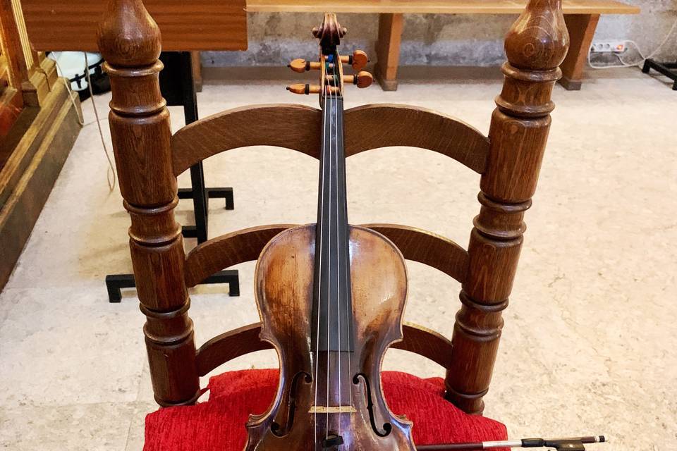 Violín