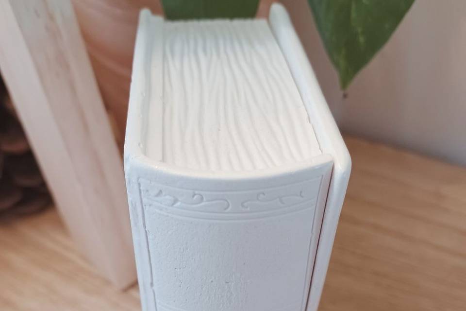 Detalles escayola libro