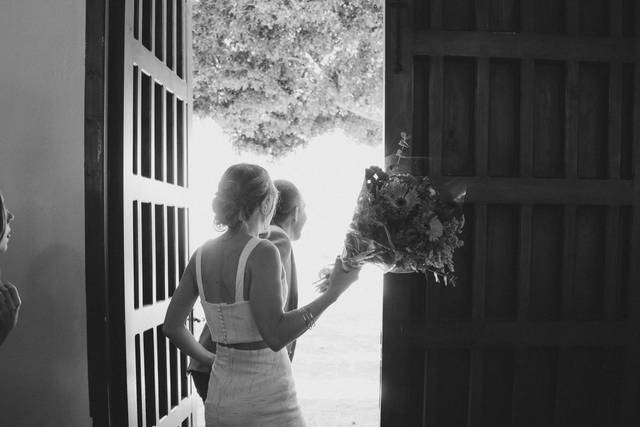 Novia