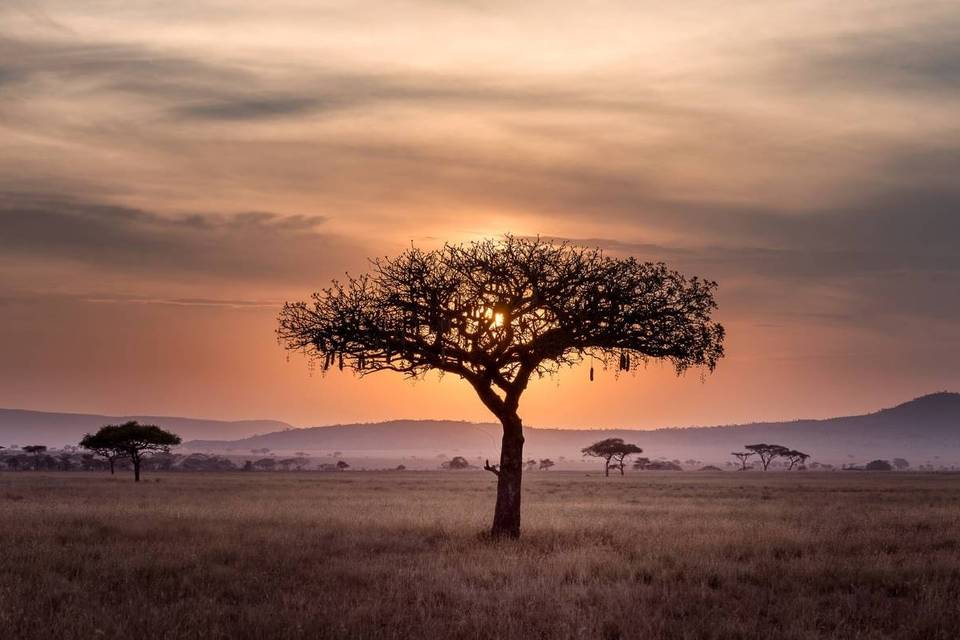 Lunas de miel en África