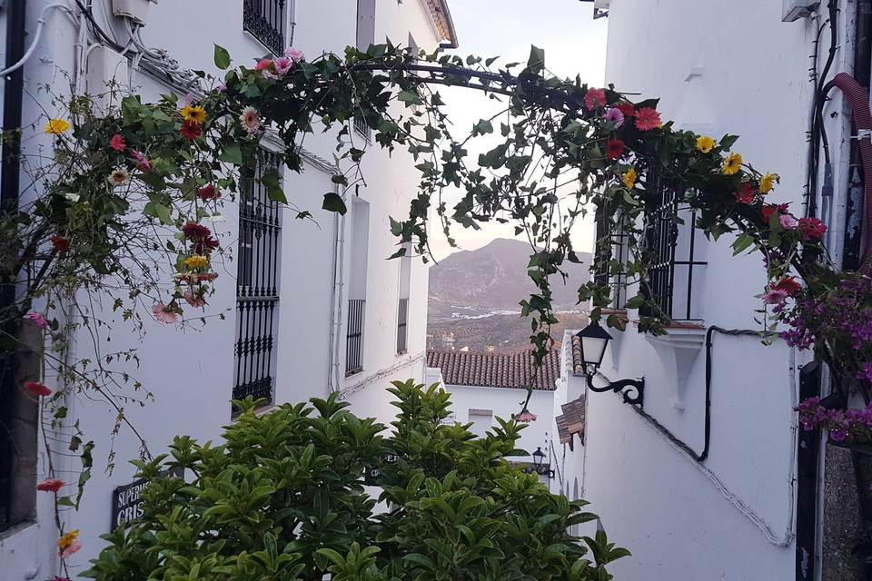 Floristería Barragán