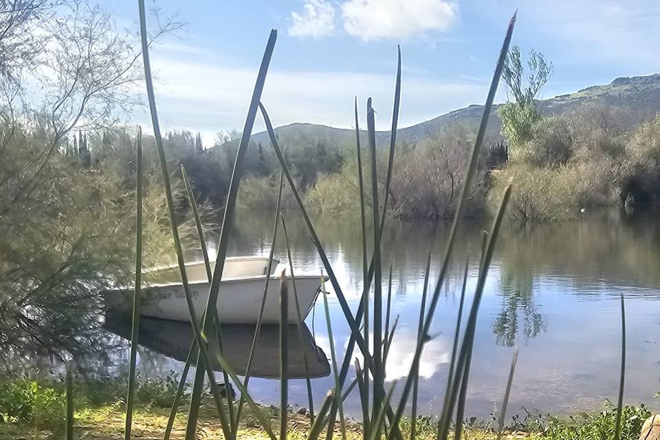 Barca en el lago