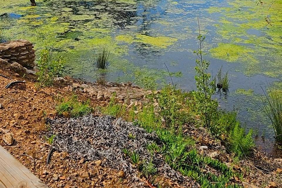 Mirador en el lago del taray