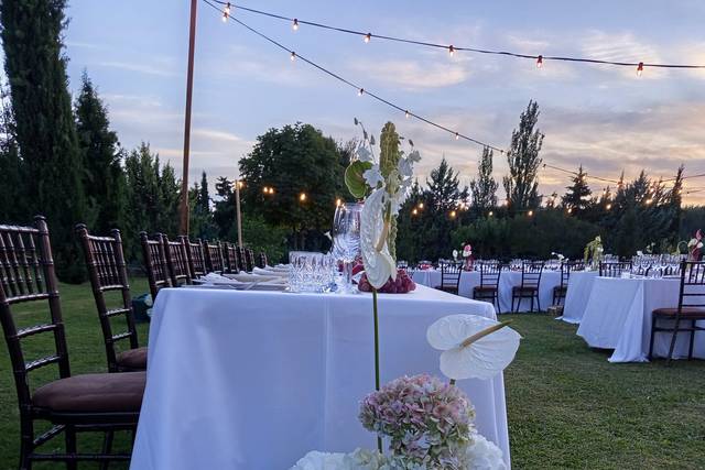 CENTROS FLORALES