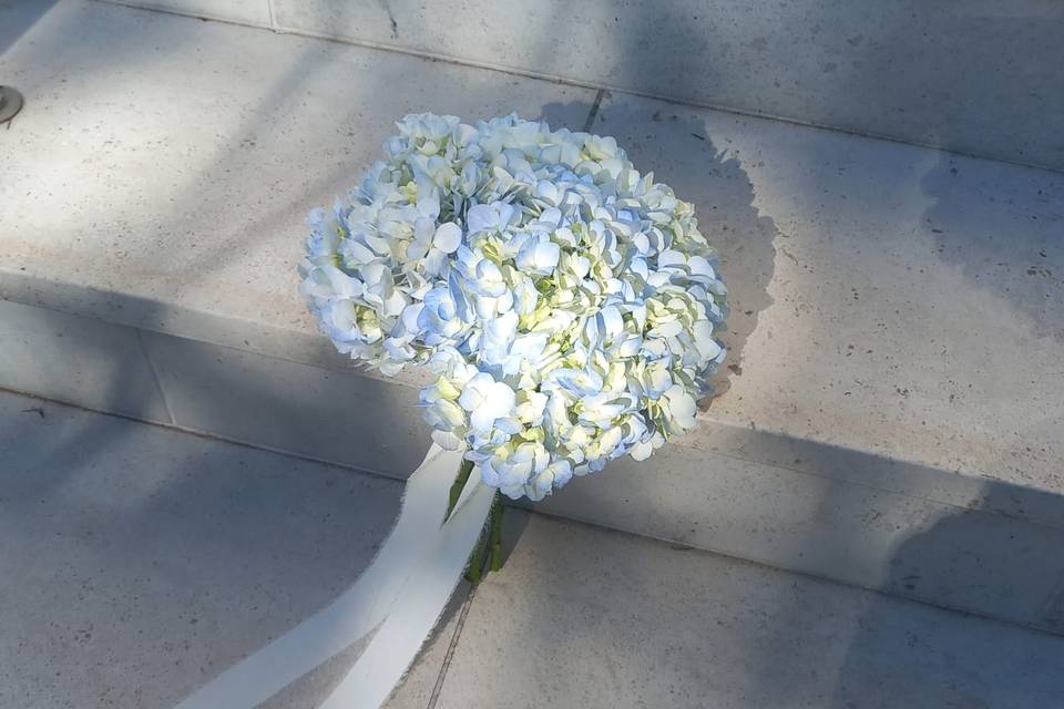 Ramos de Hortensia