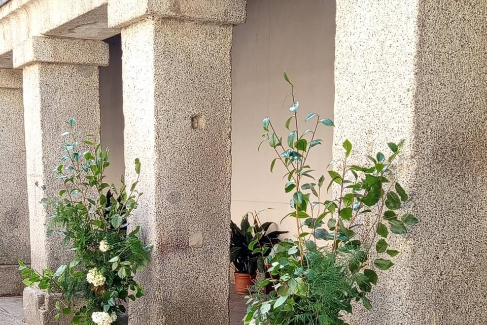 Columnas verdes