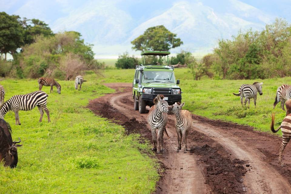 Safari Kenia y Tanzania