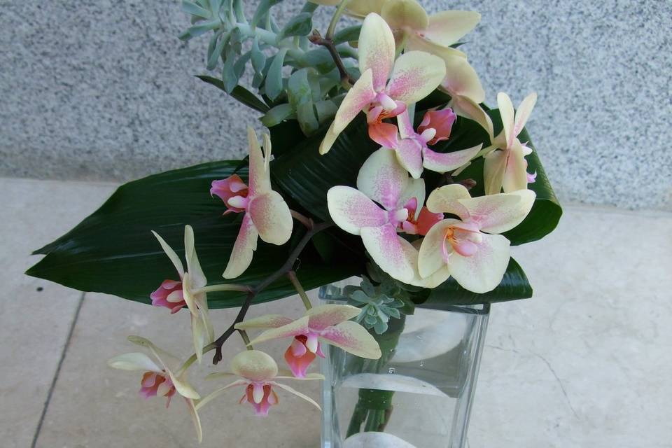 Floristería Jicara