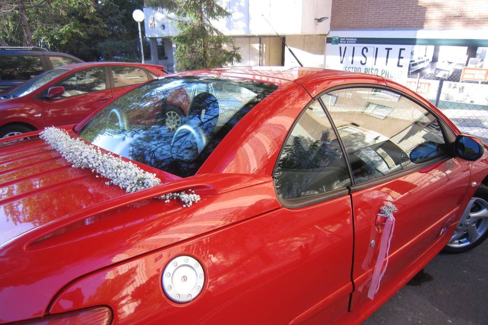 Decoración de coche con paniculata