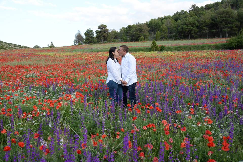 Amapolas