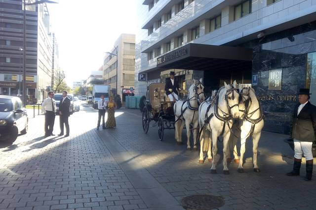 Coches de caballos para bodas