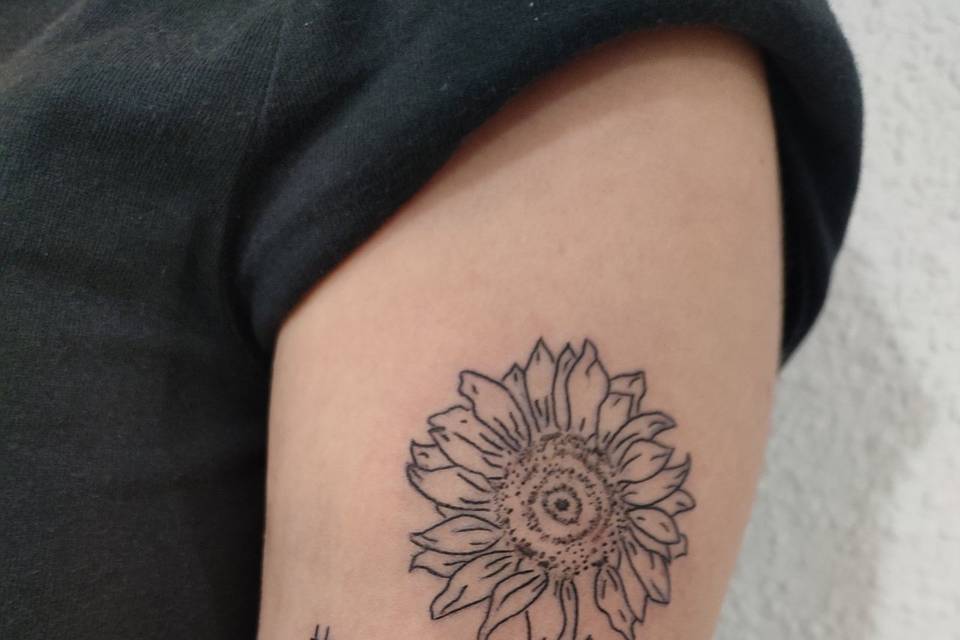 Estilo lineal