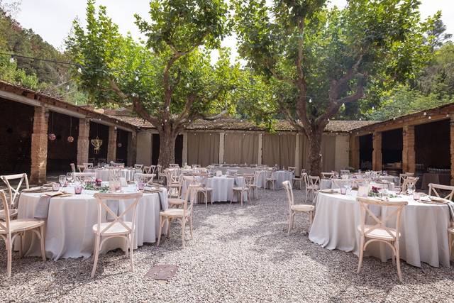 Banquete en la naturaleza