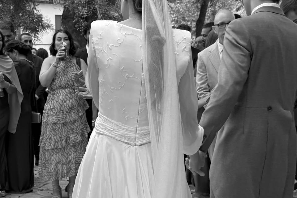 Novia